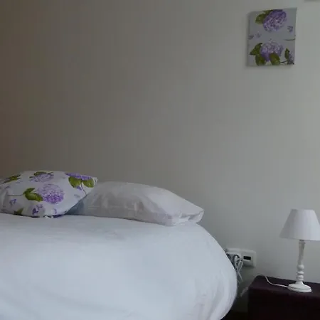 アパート Watching Azores ポンタ・デルガダ