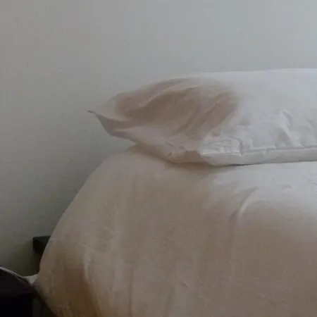 Watching Azores ポンタ・デルガダ