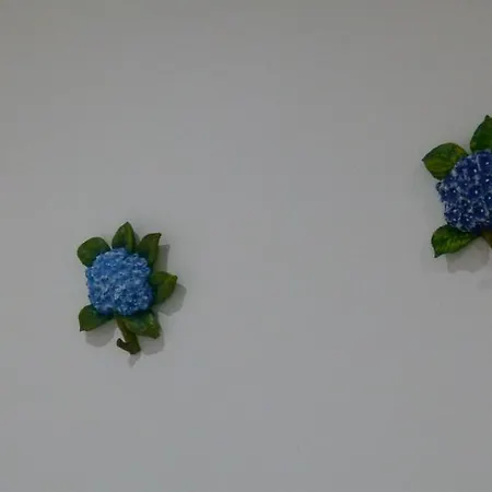 Watching Azores Ponta Delgada