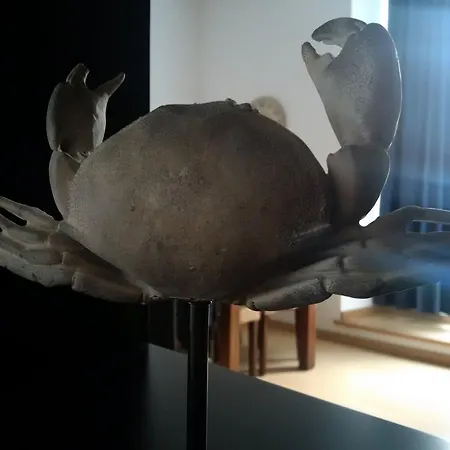 Апартаменты Watching Azores