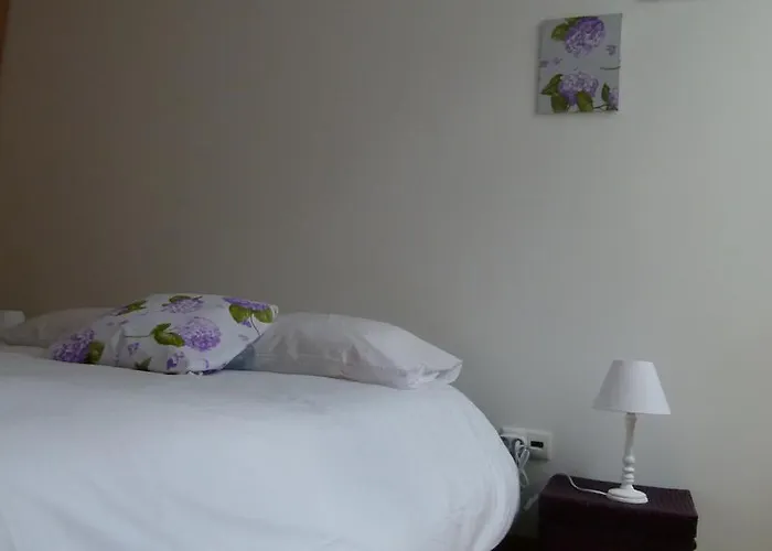 Апартаменты Watching Azores Понта-Делгада